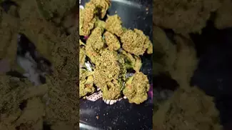 SUNDAZE  CANDY STORE (UK PRESCRIPTION MEDICATION)
