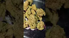 PrescribedBouquet Video Thumbnail