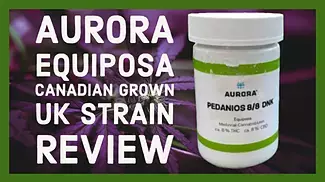 Aurora Equiposa (Canadian Grown) Strain Review
