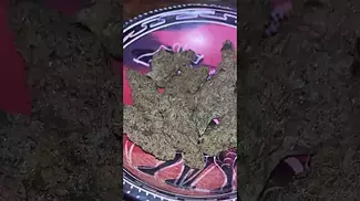 Peace Naturals ~ Space Cake (31.16%)