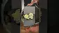 Video Thumbnail: Herb Gaming