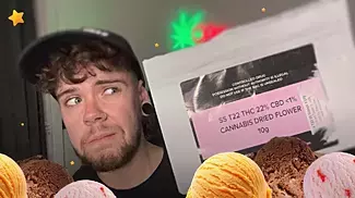 Upstate Scoops Review