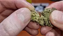 Smacksalad Video Thumbnail