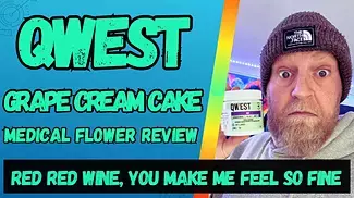Qwest | Grape Cream Cake | UK Medical Flower Review