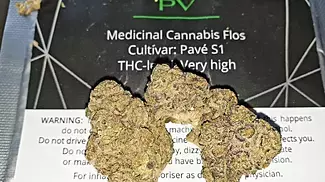 Green Karat Pave S1 Best medical so far