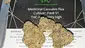 Video Thumbnail: Medical420TV
