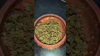 Exodus by Tyson 2.0-28%THC......medical Cannabis