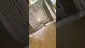 Video Thumbnail: High Jack