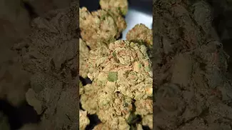 BG GREEN APPLES AND GAS (UK PRESCRIPTION MEDICATION)