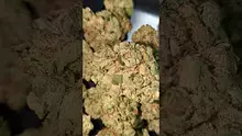 PrescribedBouquet Video Thumbnail
