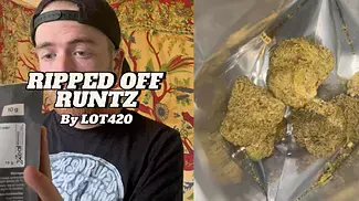 Ripped Off Runtz by Lot420 (New batch review)
