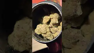 GUSHERS T22 | BUDS 1 #ukmedicalcannabis #strain #strainreview #ukmedical #bignarstiemedical