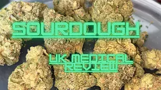 Aurora® Pedanios T29 - Sourdough - Uk Medical Cannabis Review