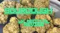 Video Thumbnail: ERB B4S