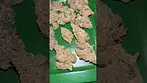 4c labs death bubba  #uk #medical #patient #youtubeshorts #flowers