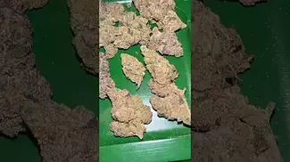 4c labs death bubba  #uk #medical #patient #youtubeshorts #flowers