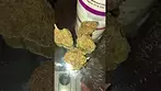 Aurora® Pedanios T27 Black Jelly Medical Cannabis Flower