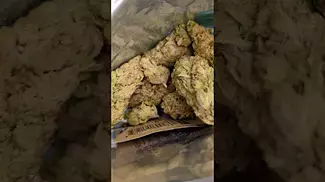 CURO BLACK CHERRY PUNCH (UK PRESCRIPTION MEDICATION)