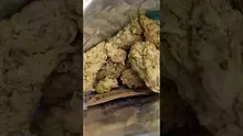 PrescribedBouquet Video Thumbnail