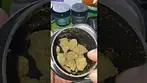 @bignarstiemedical #rainbowsherbert  T23, .Parents: (Champagne Kush x Blackberry) 