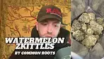 Watermelon Zkittles by Common Roots Review