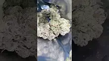High Jack Video Thumbnail