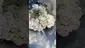 Video Thumbnail: High Jack