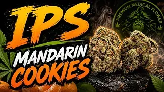 Mondays medical strain review  will be, IPS mandarin cookies 