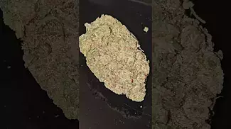 Full Gas ⛽️ THC 22 UPSTATE