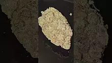 AzztecMedia Video Thumbnail