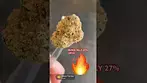 10/10 this one. Fire