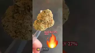 10/10 this one. Fire