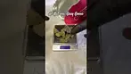 All Nations: Grey Goose (Pack opening & Weigh)