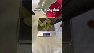 All Nations: Grey Goose (Pack opening & Weigh)
