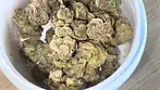 French Cookies By Grow - Strain Review’s #10