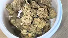BabyzBudz Video Thumbnail