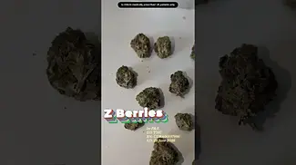 Z Berries by P&B 25% UK MEDICAL BN CURA00197996 ED 29 06 2026