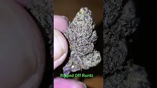 AAAA RIPPED OFF RUNTZ T26 - INDICA DOMINANT - SWEET CANDY GAS - SLEEPY NIGHTS