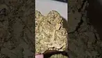 @2cavjav #ukmedicalcannabis #cannabisreviews
