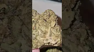 @2cavjav #ukmedicalcannabis #cannabisreviews