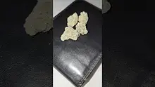 ERB B4S Video Thumbnail