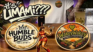 Humble Buds Gelato Review | It’s… UMAMI?! 