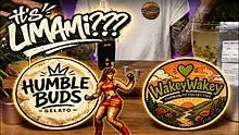 Wakey Wakey Video Thumbnail