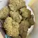 Flower Photo of All Flower/Strains (Prescription Medical Cannabis) WF Smalls T30 White Fire