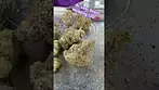 (Part 2) August Prescription Unboxing
