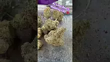 420Medical Video Thumbnail