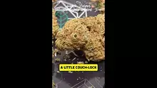 MedCannaBliss Video Thumbnail