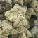 Flower Photo of All Flower/Strains (Prescription Medical Cannabis) Craft Select BSH T19 Blue Sherbet