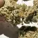 Flower Photo of All Flower/Strains (Prescription Medical Cannabis) BA T32 Black Amber