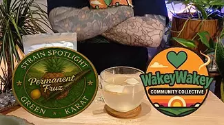 Permanent Fruz |  Focus + Flavour Breakdown | Lime & Ginger Wellness Vibes